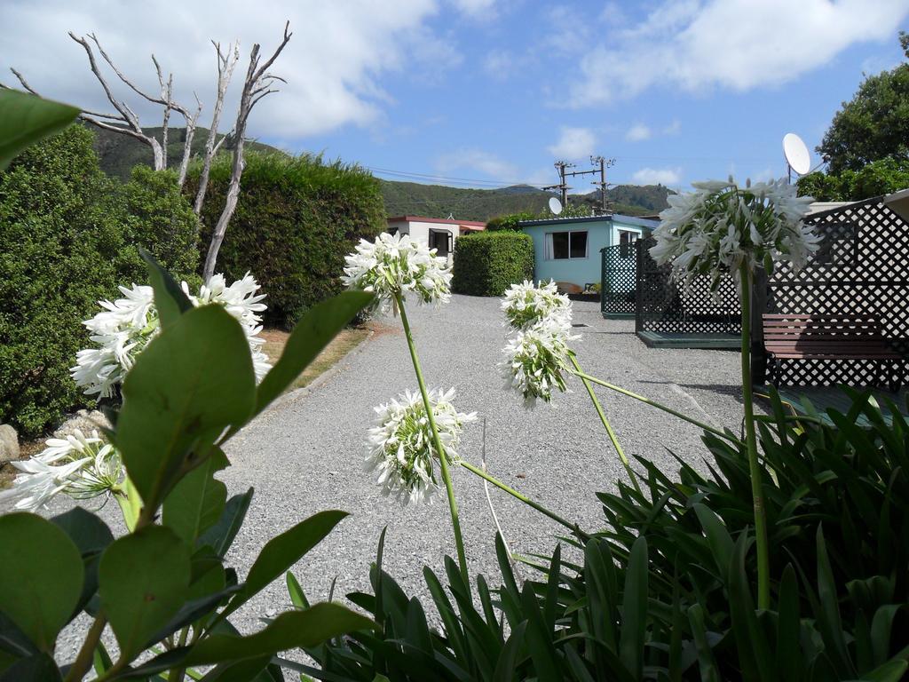 Picton'S Waikawa Bay Holiday Park Exteriér fotografie